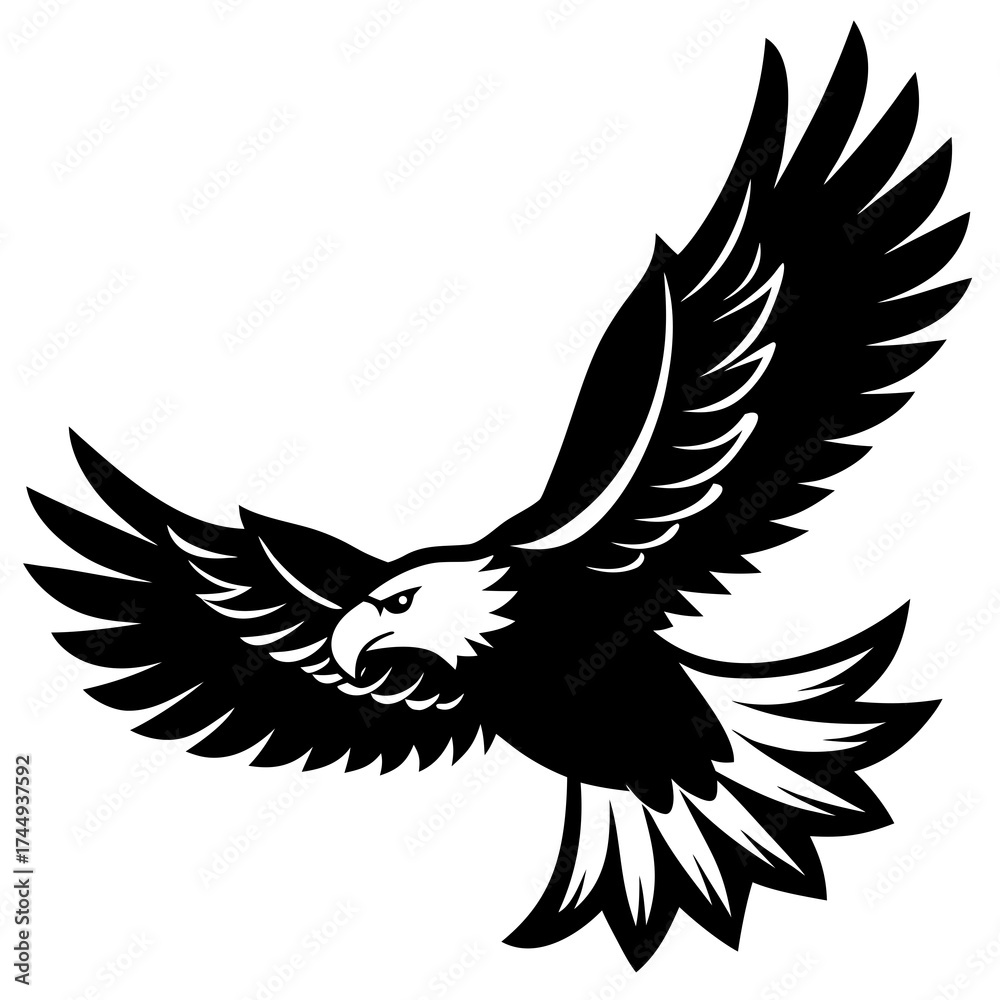 Obraz premium eagle vector illustration