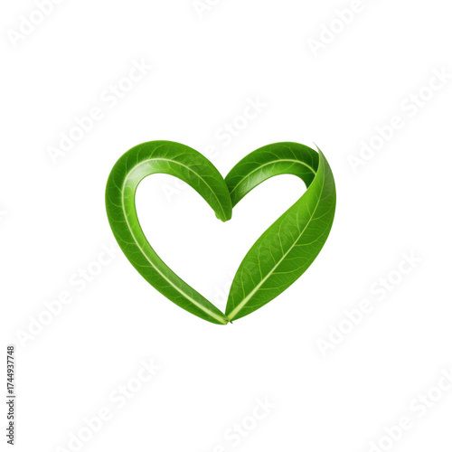 Green Leaves Heart Shape on Black Background Symbolizing Love for Nature and Ecology