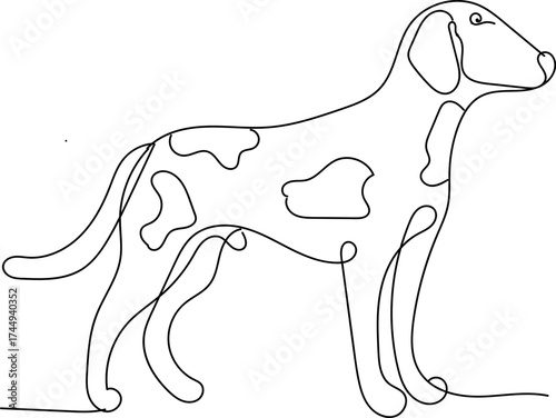 Minimalist dog line art illustration simple vector drawing of a spotted hound isolated on transparent  background