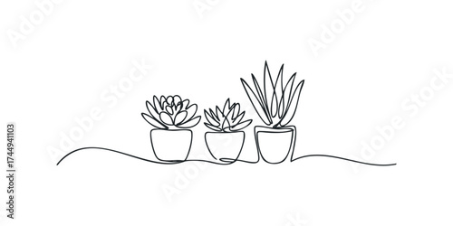 Continuous line drawing of three potted succulent plants