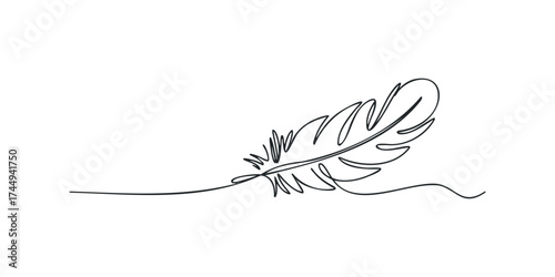 Single Line Drawing of a Feather