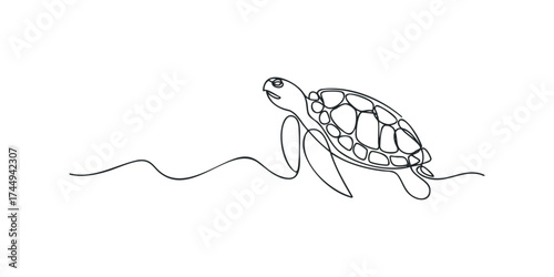 Single line drawing of a sea turtle swimming