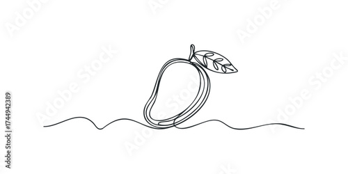 Minimalist single line drawing of a mango fruit with leaf