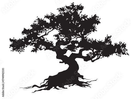 Elder old tree with beautifully twisted roots black illustration