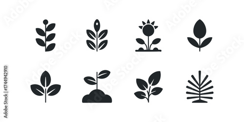 Set of Plant Growth Icons