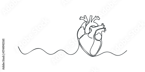 Single line drawing of a human heart with wavy line