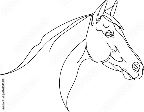 Elegant horse head line art minimalist vector illustration perfect for logo design and equestrian themes