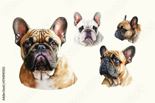 French Bulldog Puppy Dog collection Cute Pet Illustration set of Animal Clipart on isolated background