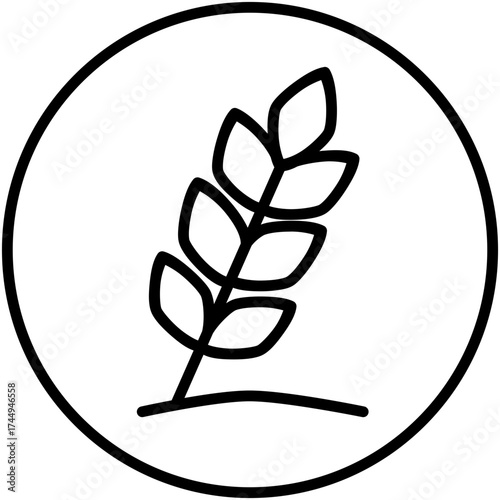 Whole Grain Icon, Plant Wheat Cereal Symbol Vector Stock Illustration, Line Icon Style Design.