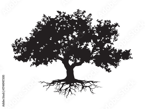 Graceful Plum Tree with Intricate Roots 2D Vector Line Art