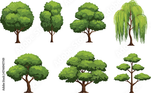 Different tree illustrations, cartoon style, green foliage, broad canopy, conical tree, weeping willow, layered foliage, landscape design, botanical drawing, vector set