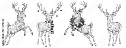 Vector Freehand set Christmas deers a scarf scribble isolated on white background. Texture of writing materials. Handwritten christmases reindeer doodles and pencil strokes.	
