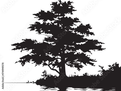 Riverbank Cypress Tree with Wide Roots 2D Vector Line Art