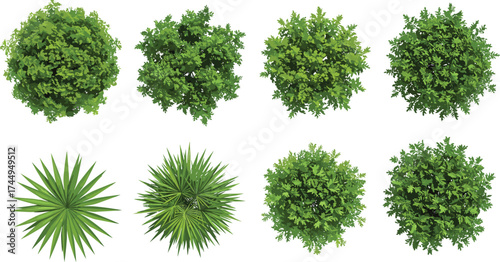Top view green shrubs, plant foliage icons, spiky leaves, landscape design, botanical illustration, garden planning, nature pattern, architecture visualization, vector set