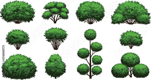 Twelve bush illustrations, green shrubs, foliage textures, rounded canopy, conical shrubs, garden plants, landscape design, botanical drawing, nature pattern, vector set