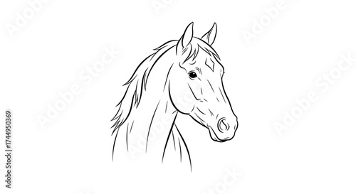 Detailed Line Art Drawing of a Horses Head Capturing its Graceful Features and Expressive Eyes.