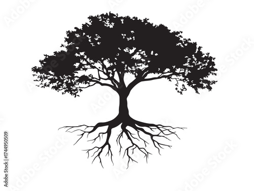 Majestic Riverbank Tree With Roots 2D Vector Line Art Silhouette Illustration
