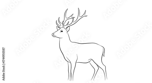Elegant Deer Sketch A Majestic Wildlife Illustration.