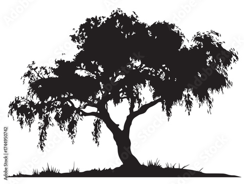 Elegant Willow Tree On Riverbank 2D Vector Line Art Silhouette Illustration