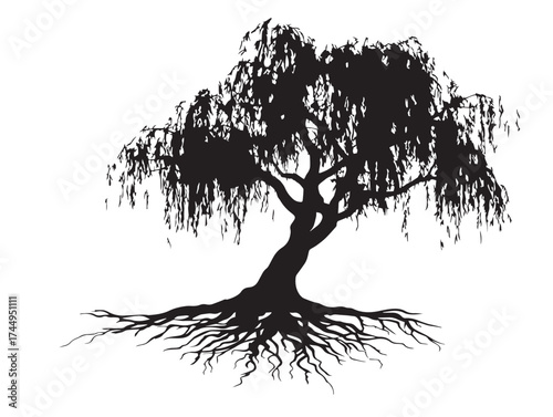 Beautiful Willow Tree With Roots 2D Vector Line Art Riverbank Silhouette Artwork