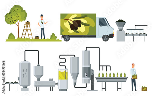 Olive oil production in factory, manufacture process stages set. Washing and pressing of olive harvest, filtration and refining with machinery, bottling for delivery cartoon vector illustration