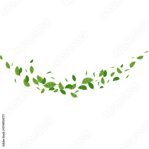 Flying Leaf Illustration