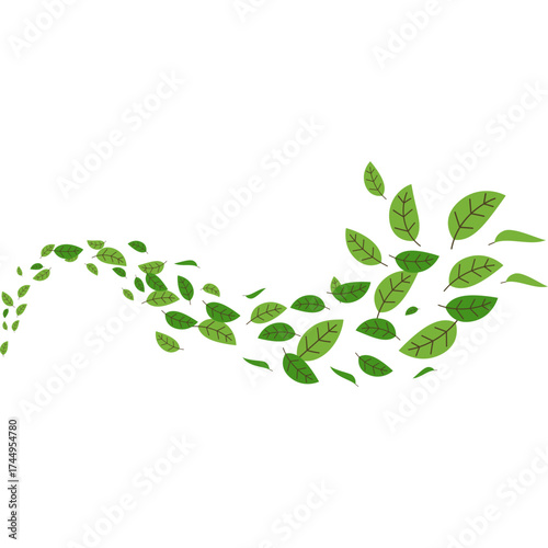 Flying Leaf Illustration