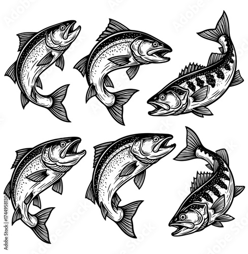 Vector art of set of hand drawn fish for design, tshirt prints, and temporary tattoos vector illustration