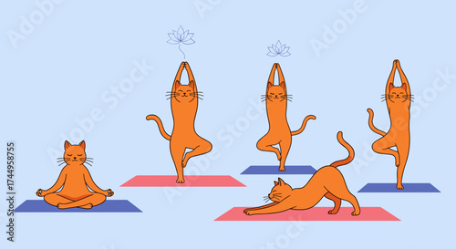 Several orange cats are doing yoga poses on blue and pink mats.