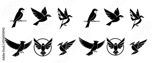 Vector art of collection of bird silhouettes in various poses, including flying and perched positions