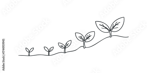 Seedling growth stages timeline