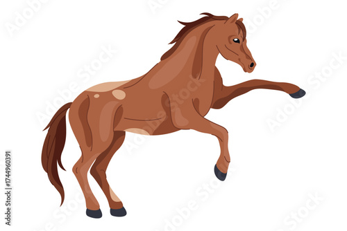 Selle francias horse or french animal breed. Vector racehorse or mammal for sport show. Fast mare for race competition. France equestrian speed symbol. Equine purebred stallion motion or gallop, gait.