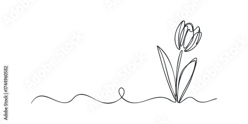 Single line drawing of a tulip flower