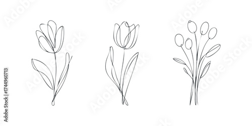 Three simple line drawings of tulips and floral stems