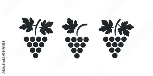 Three bunches of grapes with leaves