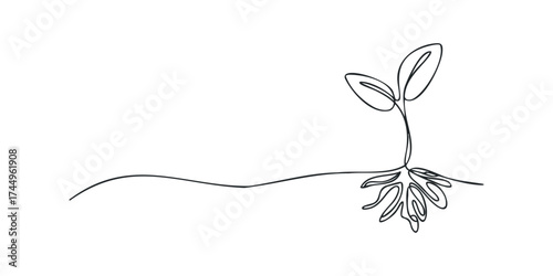 Minimalist line drawing of seedling with roots