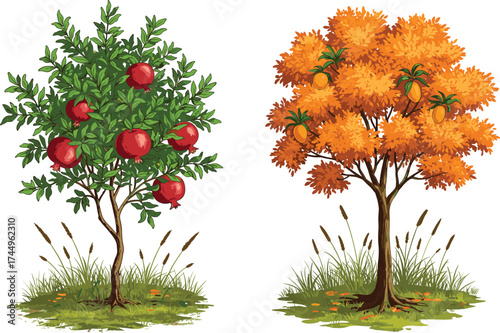 Apple tree with red fruits, autumn tree with orange leaves, seasonal contrast, fruit harvest, nature scene, garden foliage, outdoor landscape