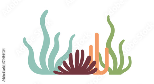 Underwater plant life illustration with various shapes and colors, marine environment.