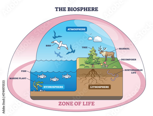 Biosphere diagram explaining life zones across atmosphere, hydrosphere and lithosphere, key objects, tree, fish, bird. Outline diagram
