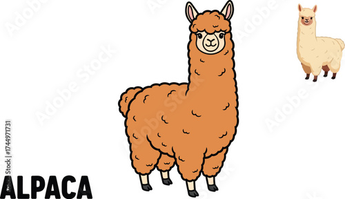 Cute cartoon alpaca vector illustration for kids and adults