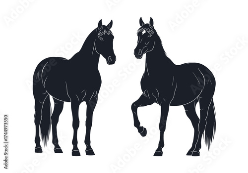 Two elegant black horses are standing together on a white background in this illustration.