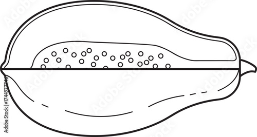 Halved Papaya Line Art. Black and White Outline Illustration of Tropical Fruit with Seeds. Minimalist Vector Graphic.