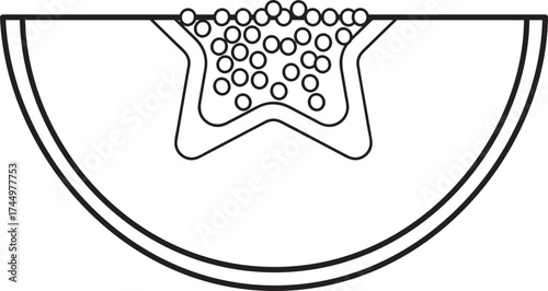 Simple line art of a fruit slice with seeds. Uncolored vector illustration for healthy food, nutrition, or graphic design.