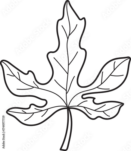 Lobed Leaf Outline Illustration. Botanical Line Art Drawing. Simple Black and White Vector Graphic.