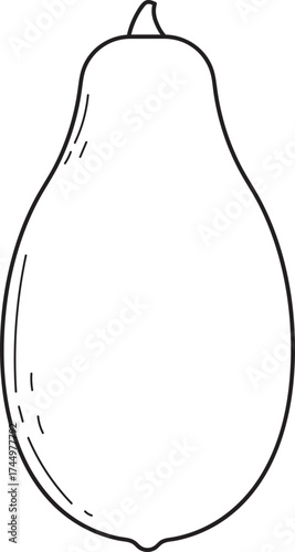 Papaya fruit line art illustration. Simple black and white outline drawing of a whole tropical fruit. Minimalist food icon.
