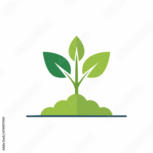 Fresh green plant seedling with three leaves sprouting from rich soil symbolizing nature organic growth and life