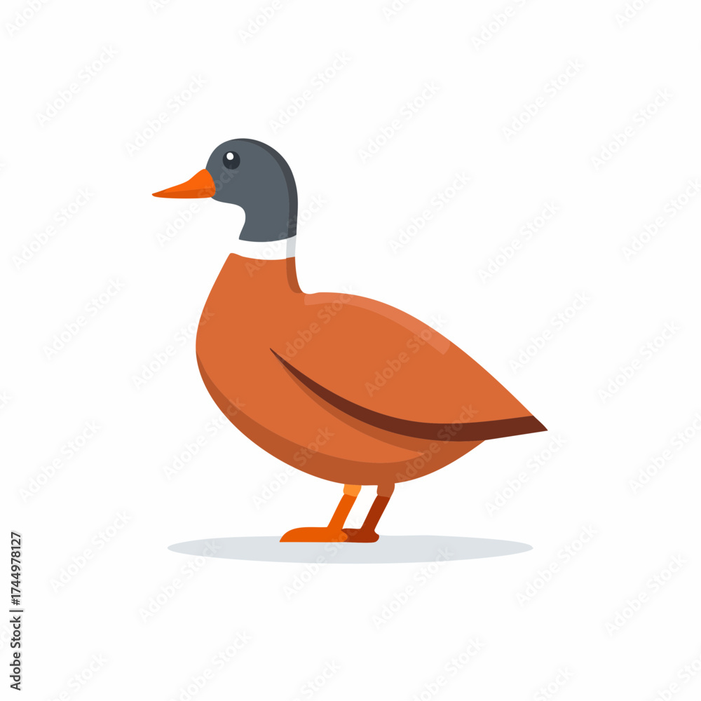 Obraz premium Simple Illustration of a Mallard Duck with Brown Body, Isolated