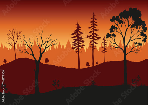 Forest fire. Burning spruces and oak trees, wood plants in flame. Forest fires in Amazon and Australia