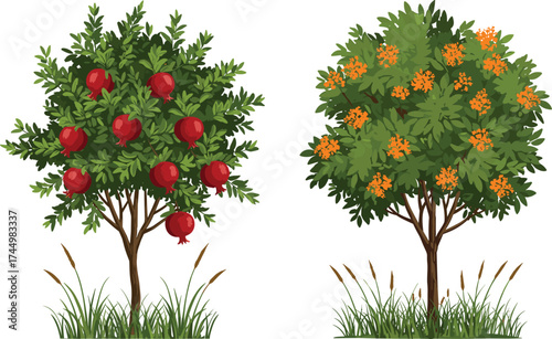 Pomegranate tree with red fruits, orange berry tree, green foliage, fruit garden, seasonal contrast, nature diversity, outdoor landscape, flora scene