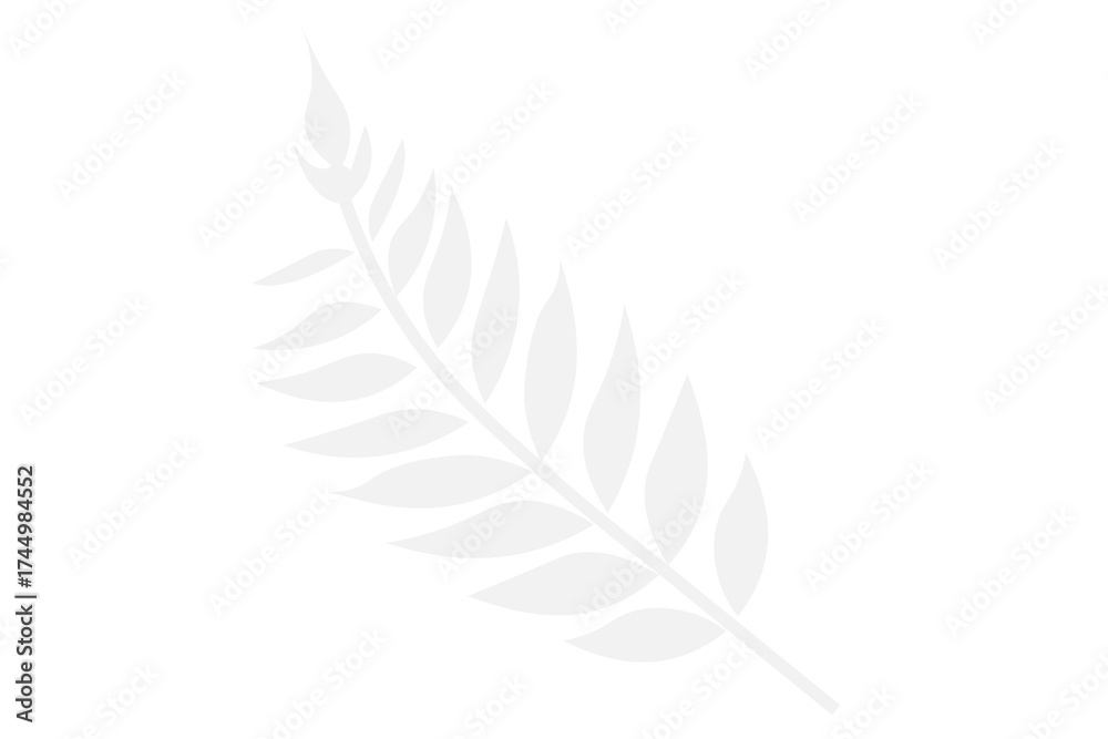Fototapeta premium Leaf Shadow Silhouette PNG Transparent Background